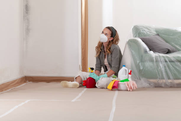 Reliable Mold Remediation contractor in Lexington, KY by Mold Remediation HQ